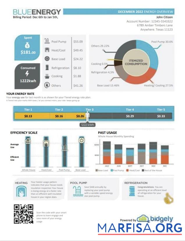 Realistic USA Texas Blue Energy utility bill, Word and PDF template